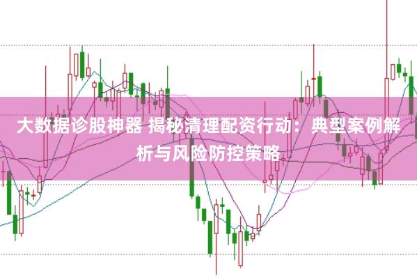 大数据诊股神器 揭秘清理配资行动：典型案例解析与风险防控策略