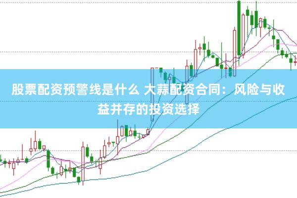 股票配资预警线是什么 大蒜配资合同：风险与收益并存的投资选择