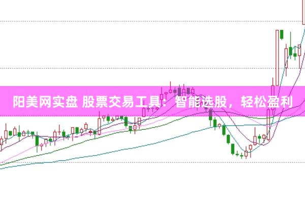 阳美网实盘 股票交易工具：智能选股，轻松盈利