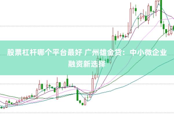 股票杠杆哪个平台最好 广州雄金贷：中小微企业融资新选择
