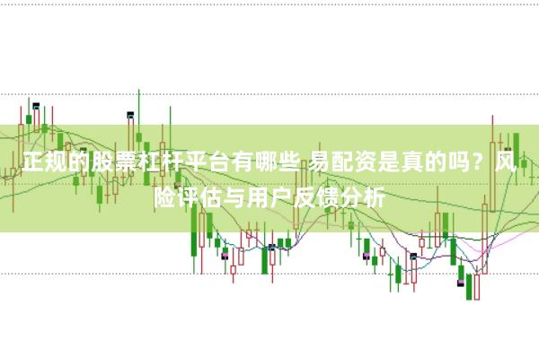 正规的股票杠杆平台有哪些 易配资是真的吗？风险评估与用户反馈分析