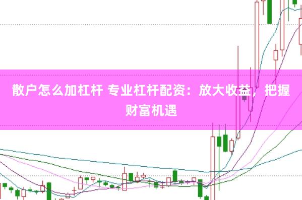 散户怎么加杠杆 专业杠杆配资：放大收益，把握财富机遇