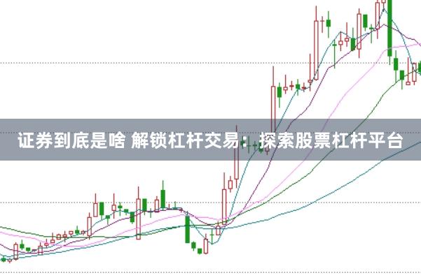 证券到底是啥 解锁杠杆交易：探索股票杠杆平台
