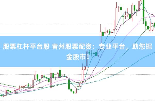 股票杠杆平台股 青州股票配资：专业平台，助您掘金股市！