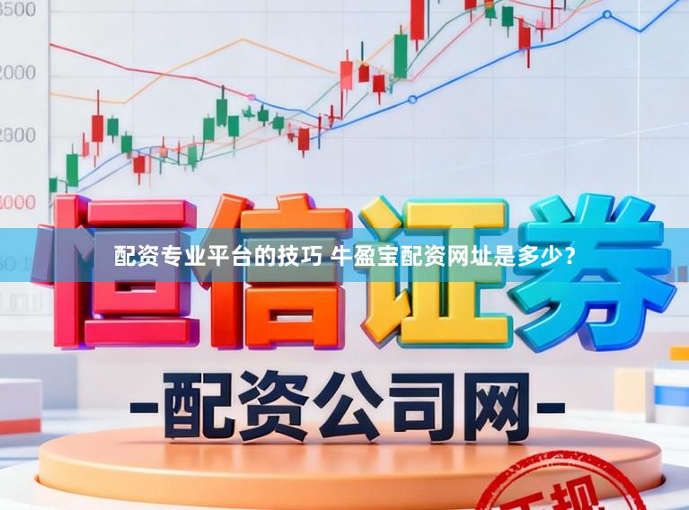 配资专业平台的技巧 牛盈宝配资网址是多少？